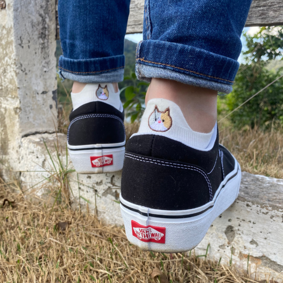 Meias divertidas Smiles Gatos- 10 pares + 1 par Smiles Brinde