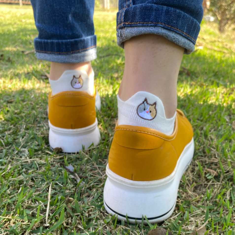 Meias divertidas Smiles Gatos- 10 pares + 1 par Smiles Brinde