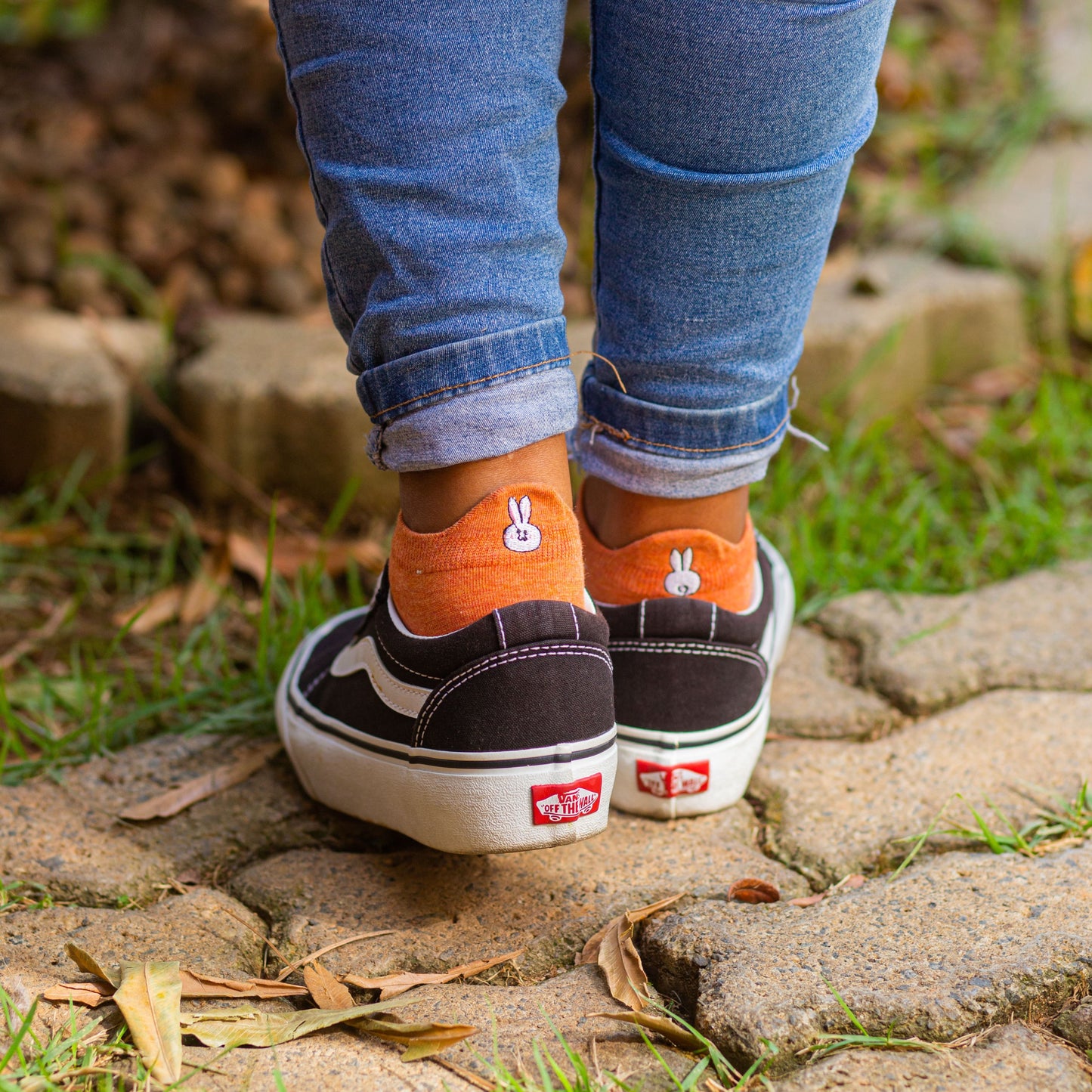 Meias Animais Fofos - 10 pares